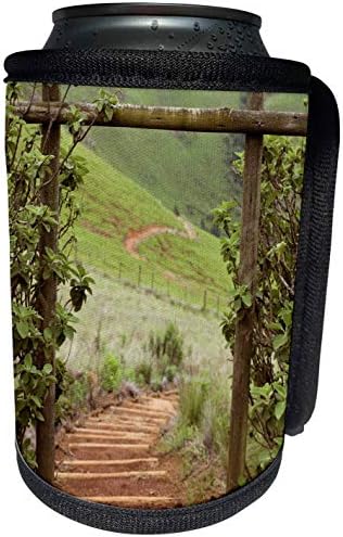 3дРоуз Данита Делимон - Стълбища - Мъглива долина и дървени стъпала, Иксопо, КваЗулу-Натал, Южна Африка. - Опаковки