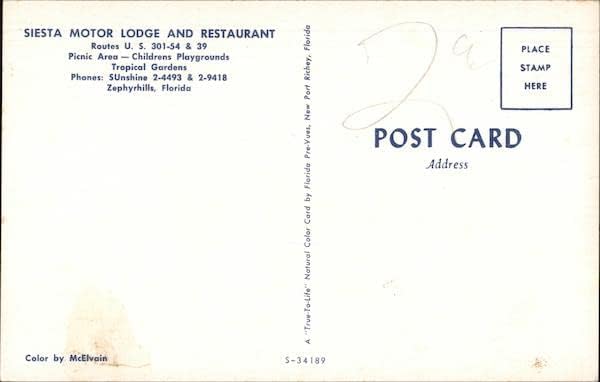 Siesta Motor Lodge and Restaurant Зефирхиллс, Флорида Флорида Оригиналната Реколта Картичка