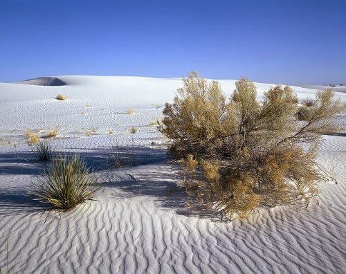 Исторически находки Снимка: пустинята Мохаве, Калифорния, Калифорния,Пейзаж, Природа, Карол Хайсмит,1980-2006