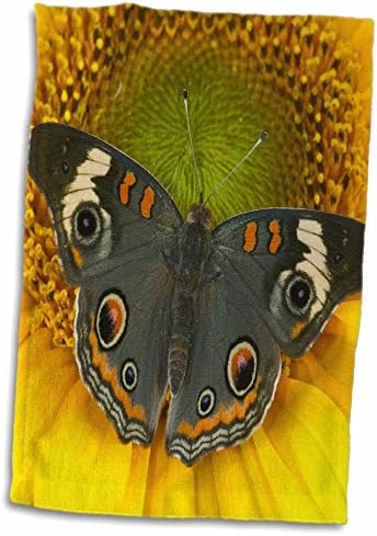 3 Кърпи Malcho Delimont - Butterfly - Elena Бътерфлай 01 - (twl-249695-3)