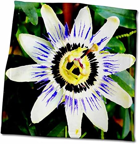 3D Фотография - Магията на снимки - Цвете на Страстта в Синята короната - Кърпи (twl-174765-3)