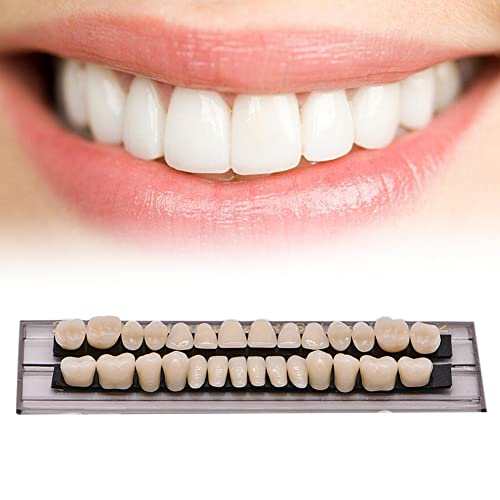 MIBICIRI 84 БР. Зъби от акрилна смола, зъбни протези, Зъбни протези от синтетична смола, подпори за Хелоуин,
