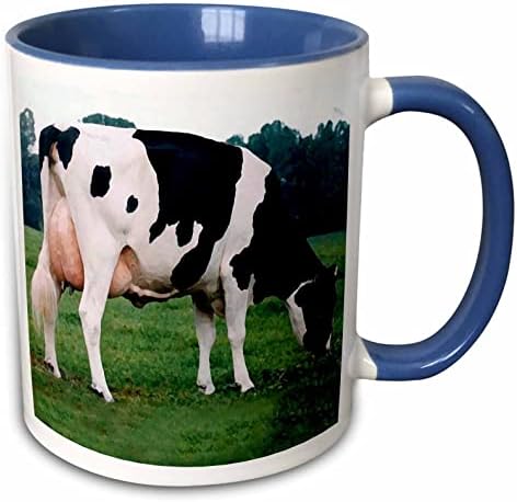 3. Отглеждането на селскостопански животни - Крави голштинской порода - Чаши (кружка_623_2)
