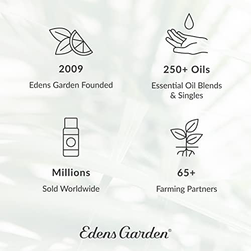 Етерично масло от листа на канела Edens Garden, Чист Терапевтичен клас (Неразбавленное Естествено /Хомеопатично