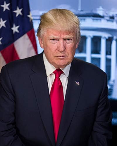 Снимка на Доналд Тръмп - Историческо произведение на изкуството година - Портрет на Президента на САЩ -